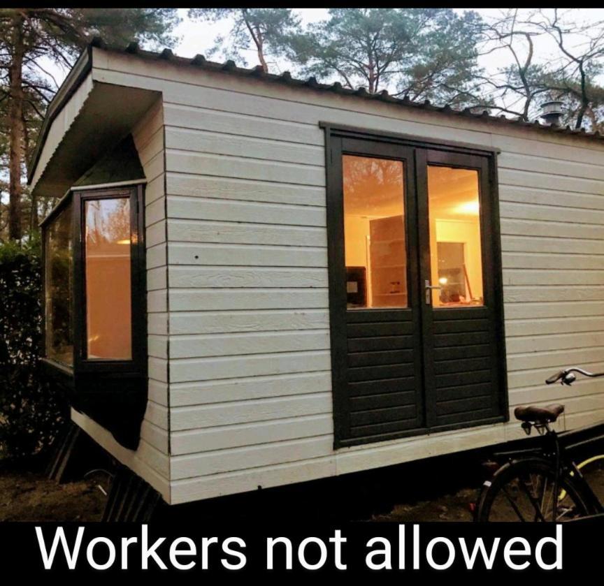 Wulft 47 Zonnig Gezellig 6P Chalet Met Zwembad In Bosrijke Omgeving Op Familie Camping De Vossenburcht IJhorst Zewnętrze zdjęcie