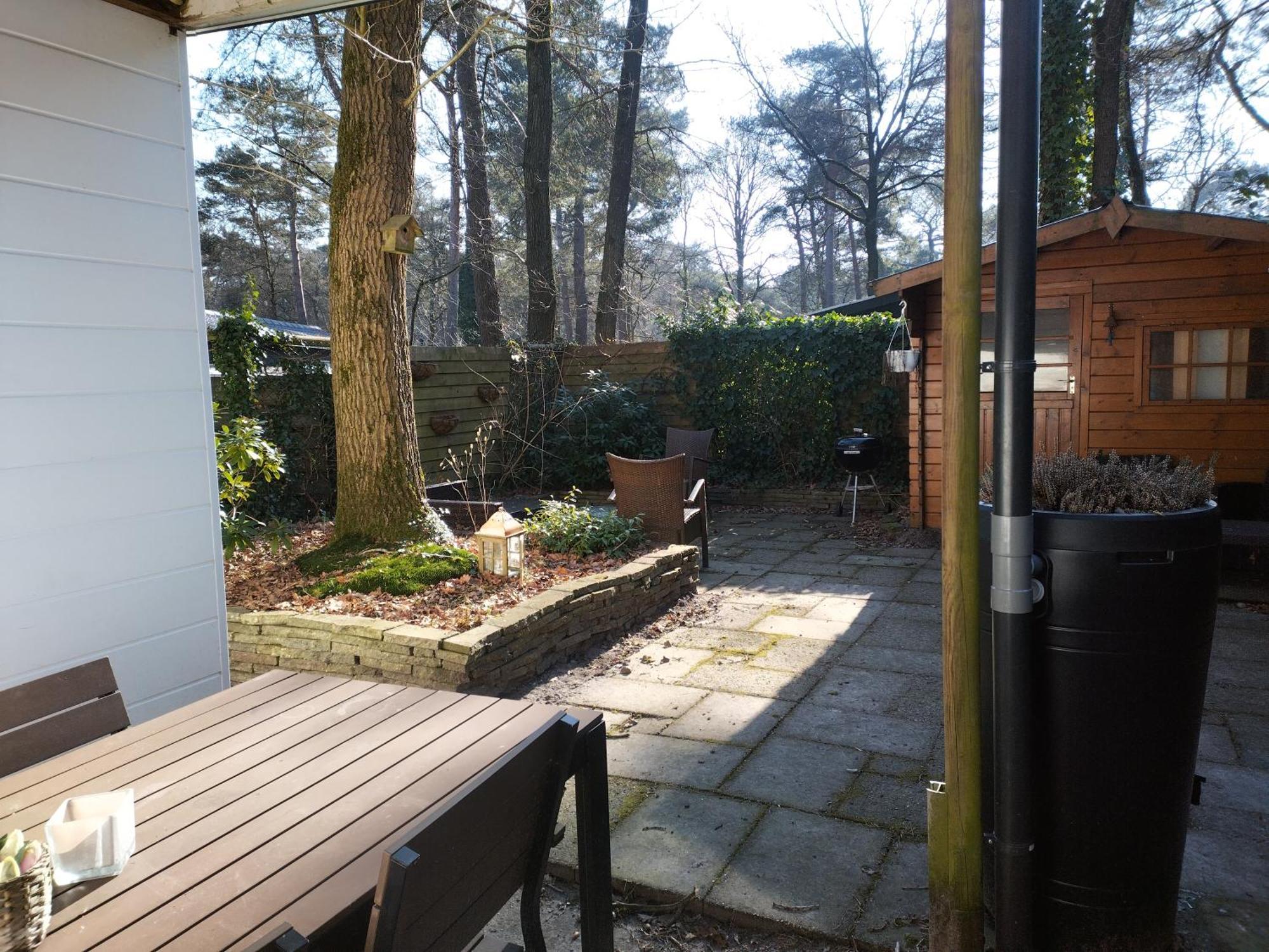 Wulft 47 Zonnig Gezellig 6P Chalet Met Zwembad In Bosrijke Omgeving Op Familie Camping De Vossenburcht IJhorst Zewnętrze zdjęcie