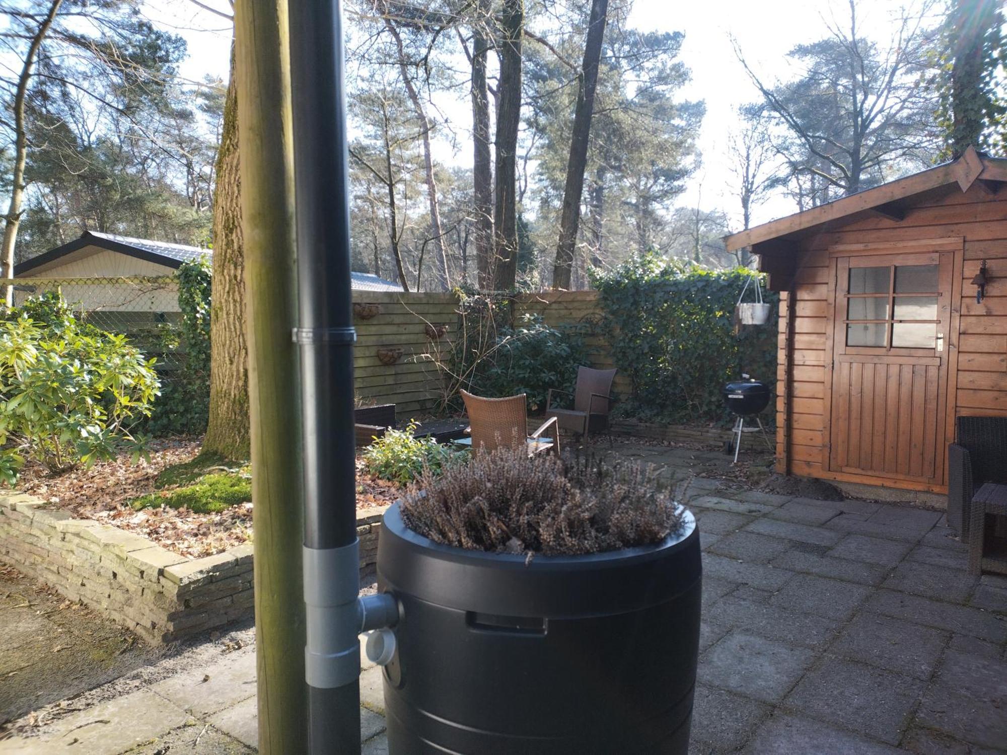 Wulft 47 Zonnig Gezellig 6P Chalet Met Zwembad In Bosrijke Omgeving Op Familie Camping De Vossenburcht IJhorst Zewnętrze zdjęcie