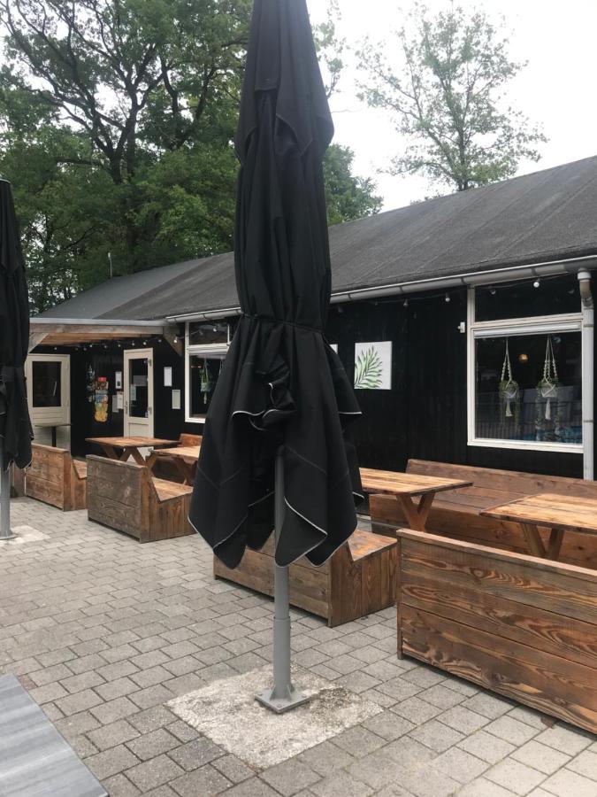 Wulft 47 Zonnig Gezellig 6P Chalet Met Zwembad In Bosrijke Omgeving Op Familie Camping De Vossenburcht IJhorst Zewnętrze zdjęcie