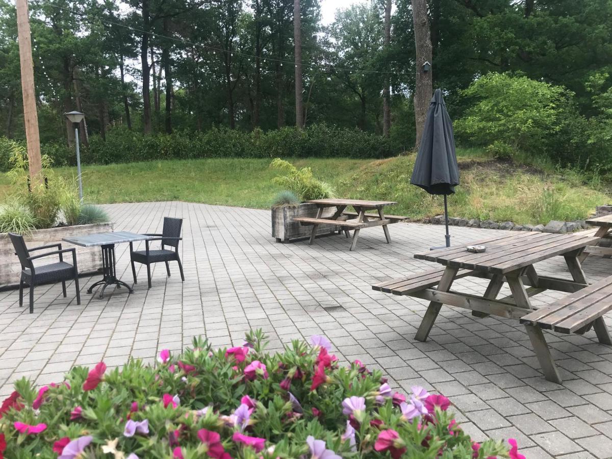 Wulft 47 Zonnig Gezellig 6P Chalet Met Zwembad In Bosrijke Omgeving Op Familie Camping De Vossenburcht IJhorst Zewnętrze zdjęcie
